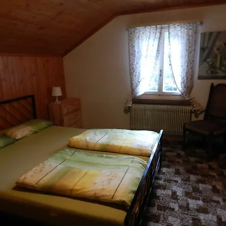 Gasthof Am Bach 博尔蒂根