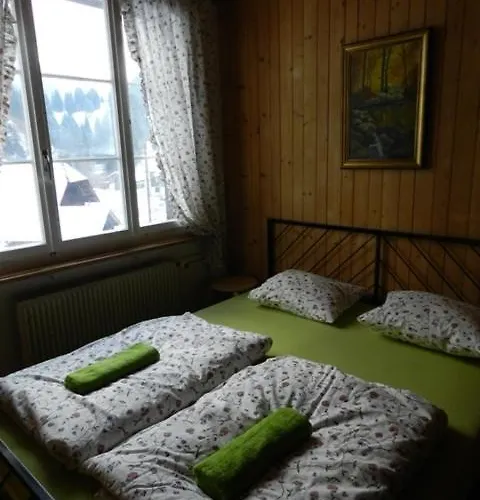 Oda ve Kahvaltı Gasthof Am Bach Boltigen